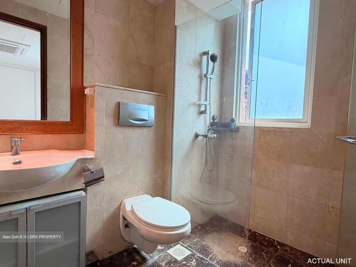 The Hermitage (D10), Apartment #564129141